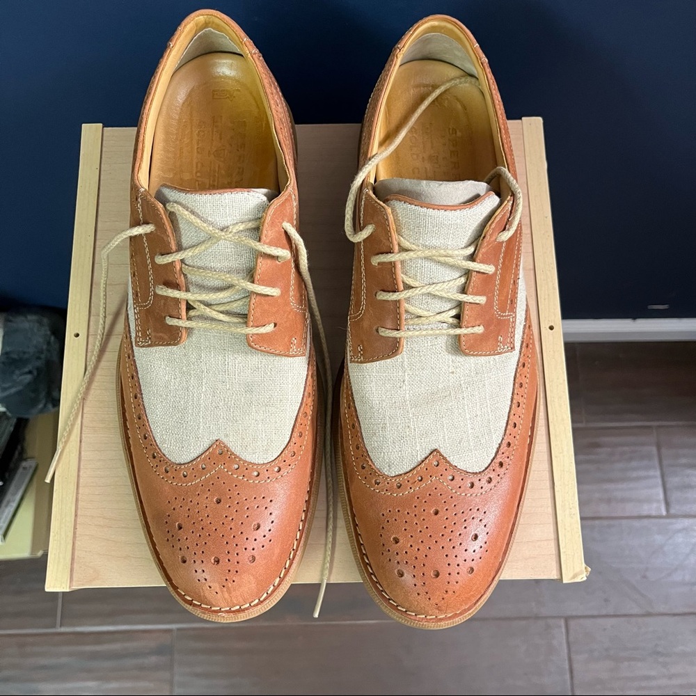 Sperry wingtip shoe 12